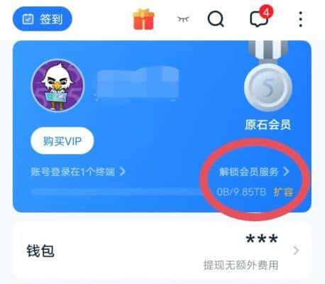 115账号8位9TB+永久网盘空间大约=10000GB（1万GB）无证老账号懂的都懂