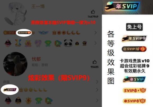 稀有铭牌设置！SVIP9炫彩铭牌无需等待5年！效果看图！