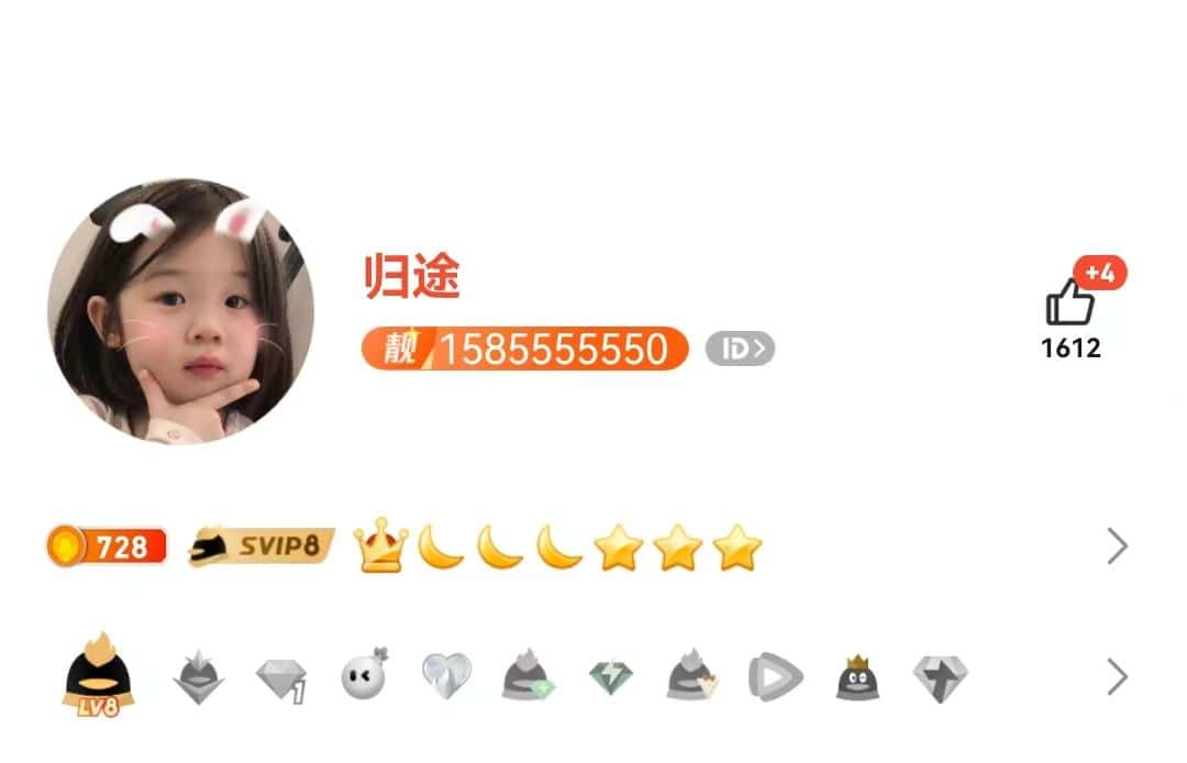 拍卖6a15855555530会8皇冠号