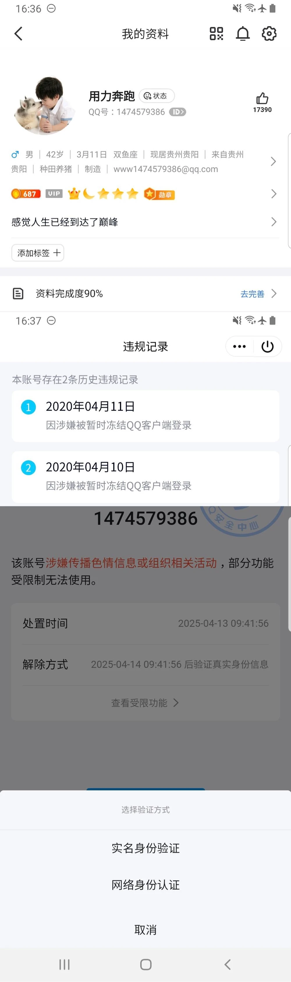 拍个1开元老大黄狗