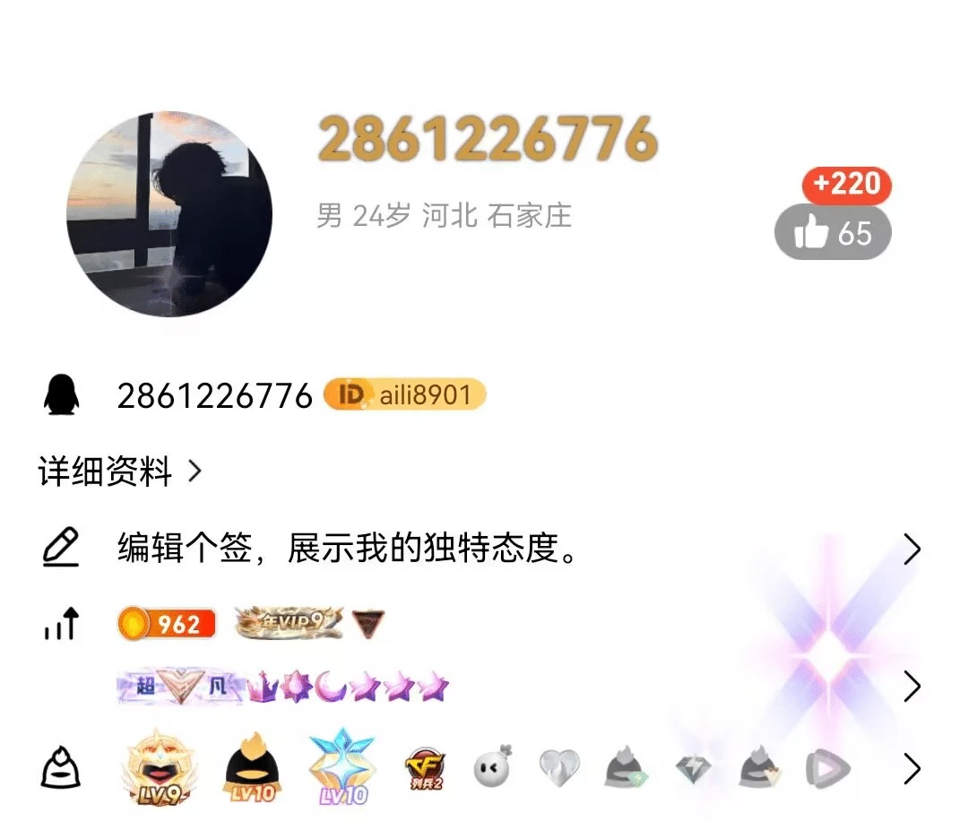 拍个大会9双10顶级业务