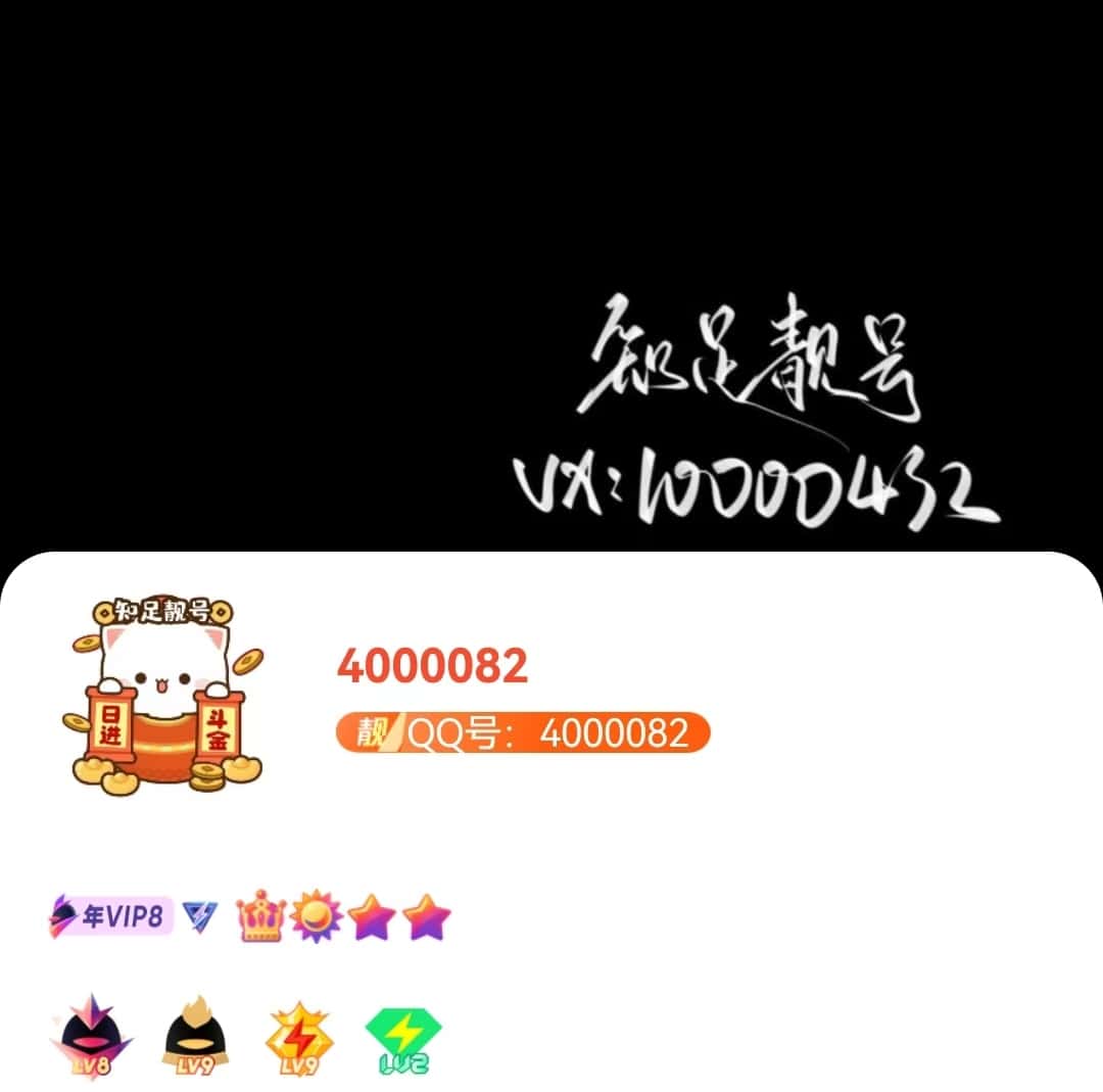 拍卖极品客服业务号4000082带同号群大会8会9黄9绿2