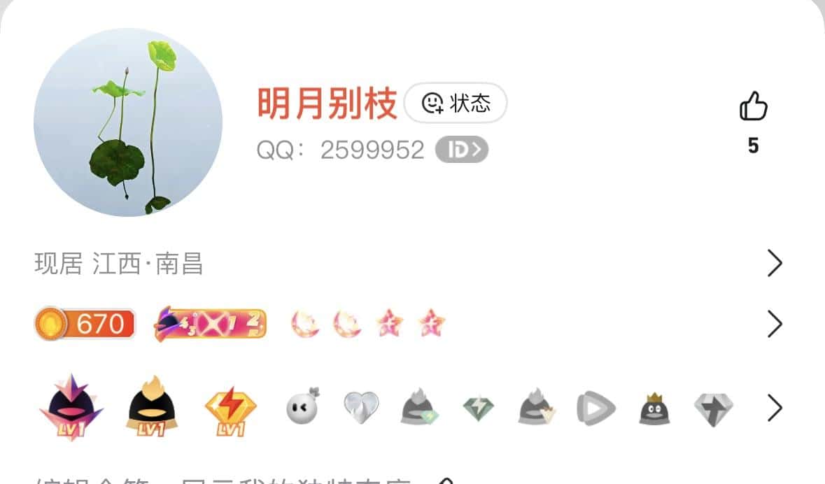 2599952极品999类型