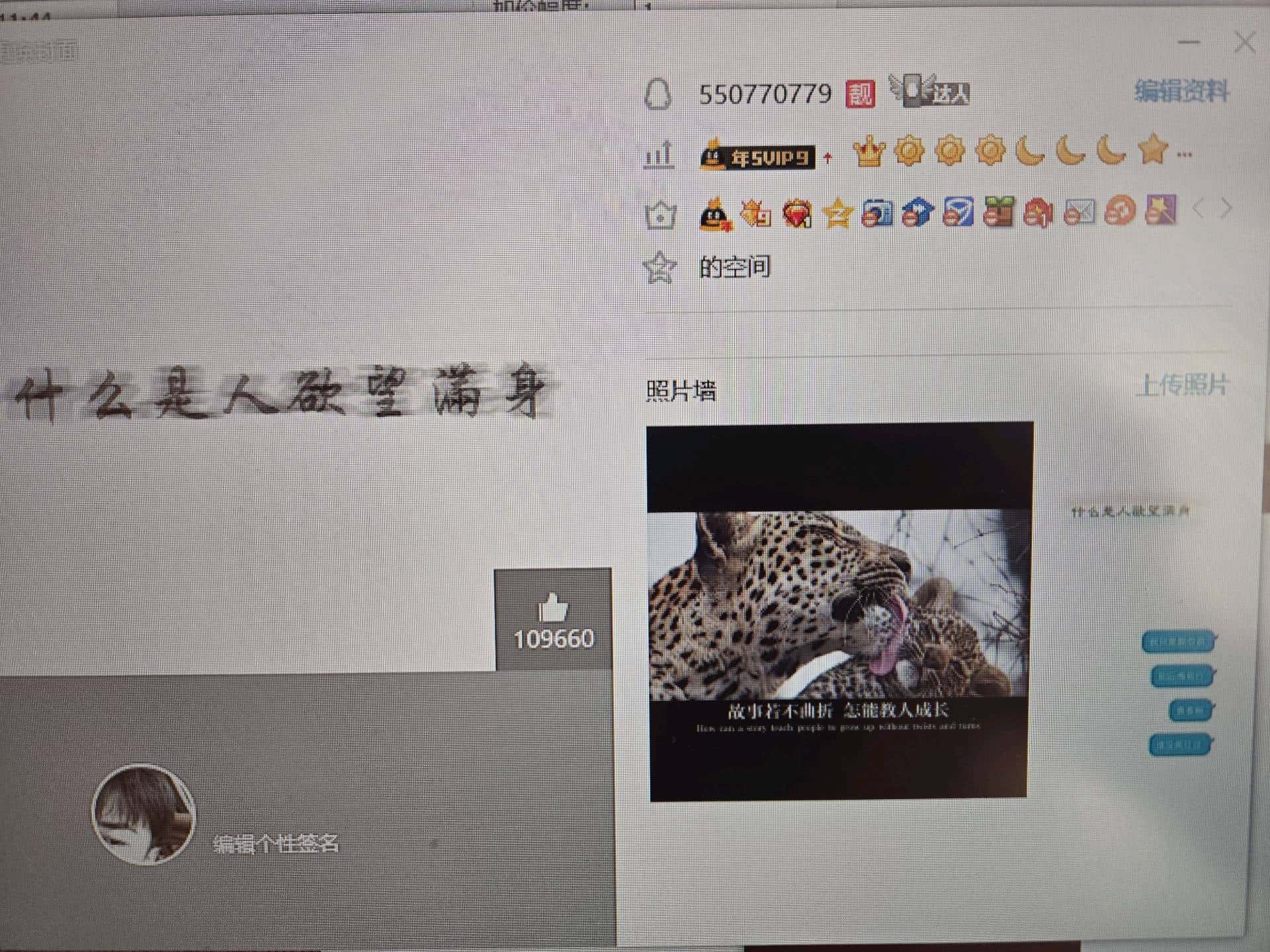 550770779差一级双冠