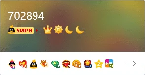 6位百万访问浏览网红业务
