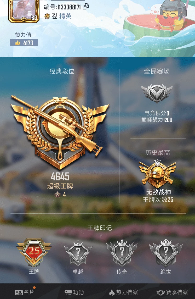 和平精英V区7车金玛6粉洛天依浪客巡查衣8特效AGlogo25印记战神框